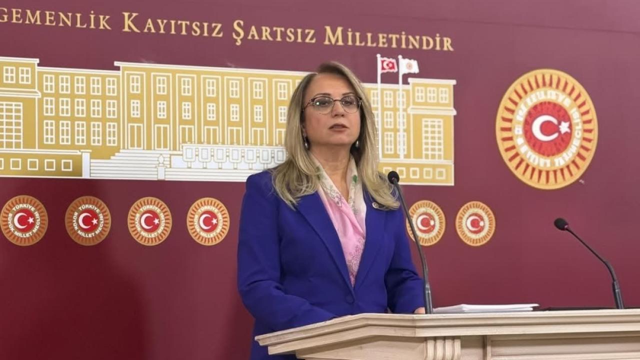 MHP'li Kılıç: Milliyetçi-Ülkücü Hareket olarak dilimize yönelen her türlü kültürel istilayı vatan toprağına yapılmış bir saldırı sayar, asla geçit vermeyiz