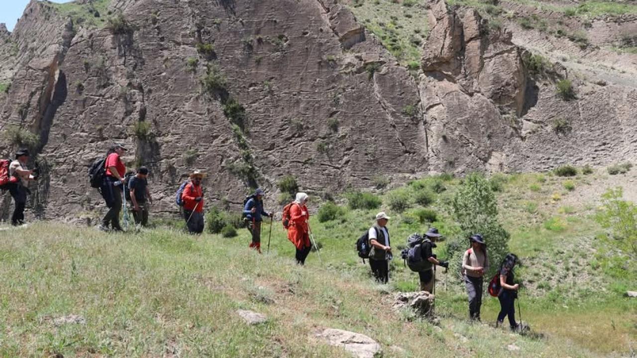 Iğdır'daki Testere Vadisi doğa severleri ağırlıyor