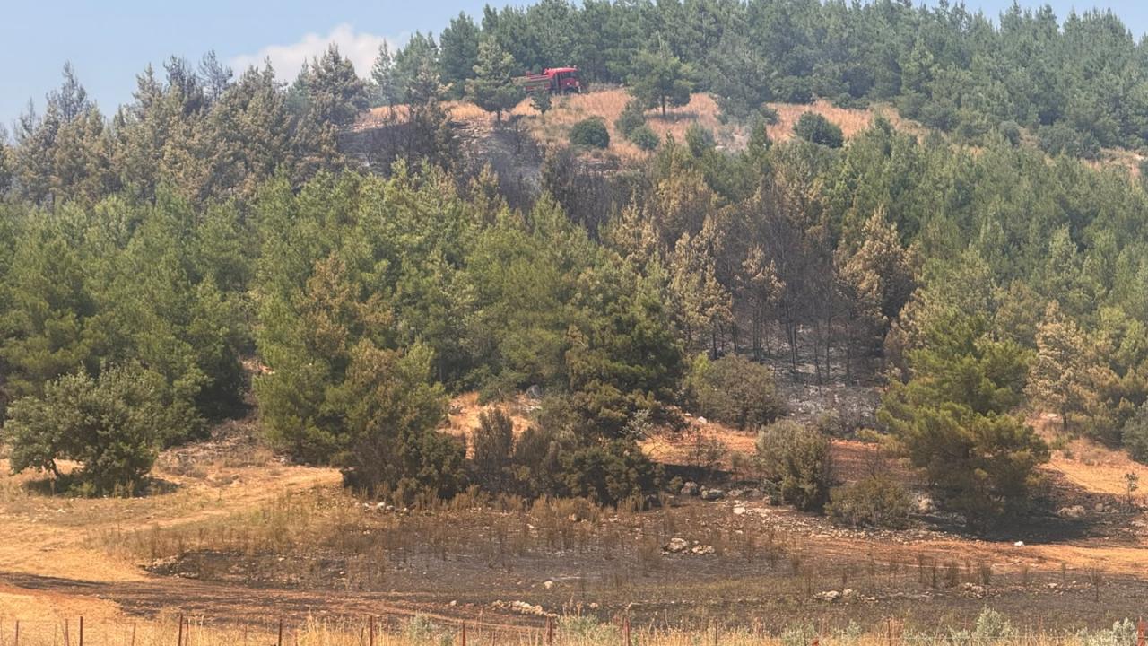 Muğla'da orman yangını kontrol altına alındı