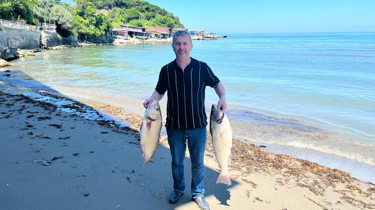 Sinop açıklarında 8,5 ve 8 kilogramlık iki kötek balığı yakalandı