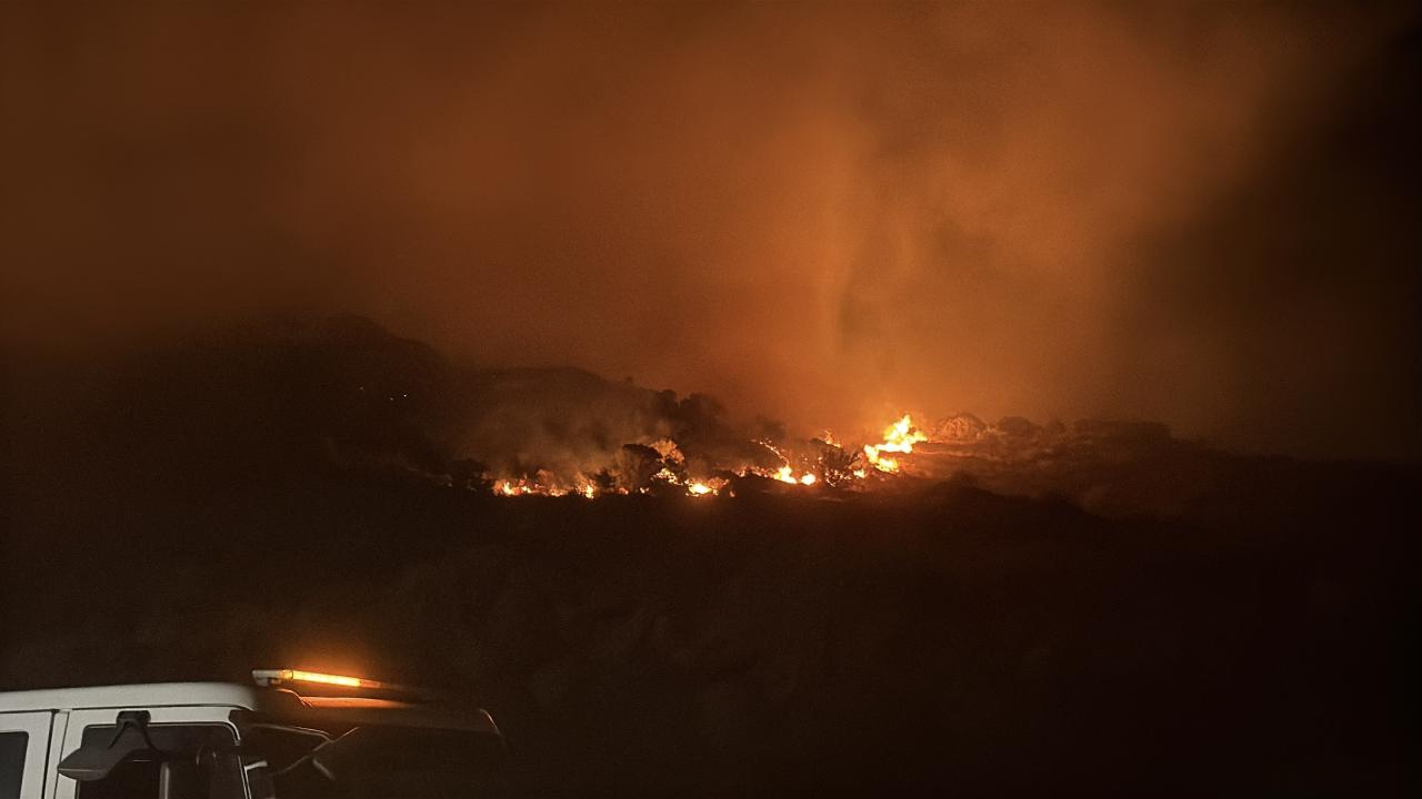 Bodrum'da makilik ve otluk alanda yangın