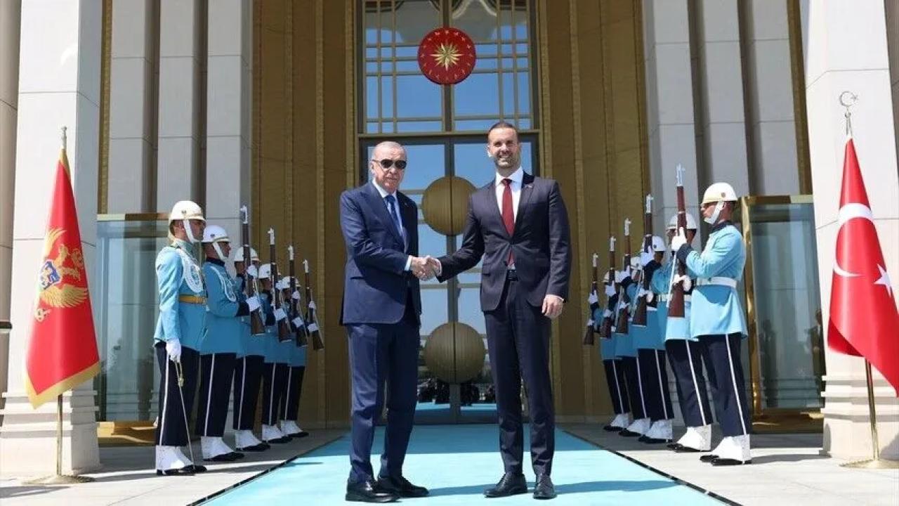 Cumhurbaşkanı Erdoğan, Karadağ Başbakanı Spajic'i kabul etti