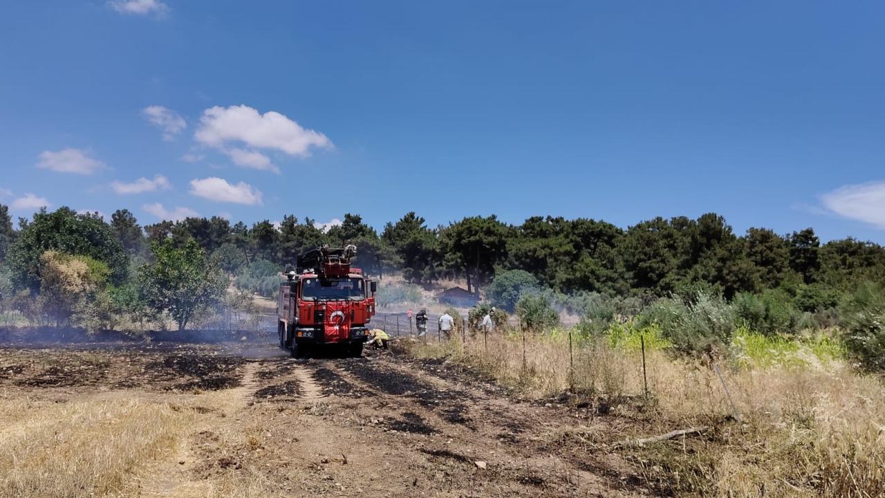 Balıkesir'de tarım arazilerinde çıkan yangın söndürüldü