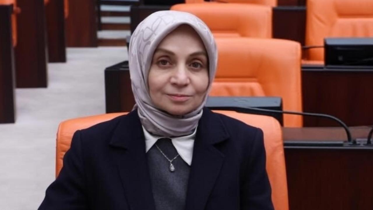 AK Parti Grup Başkanvekili Usta: Temel insan haklarının korunması uluslararası toplumun en öncelikli görevi olmalı