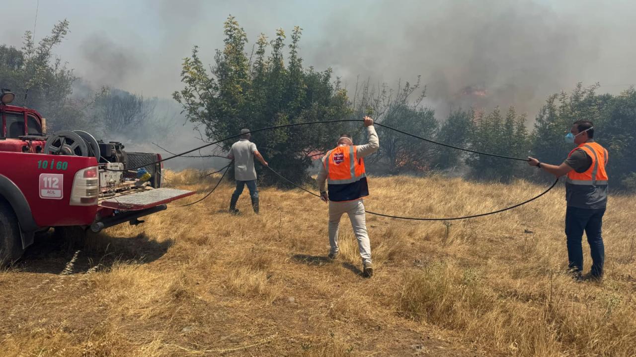 Balıkesir'in Sındırgı ilçesinde ormanlık alanda çıkan yangına müdahale ediliyor