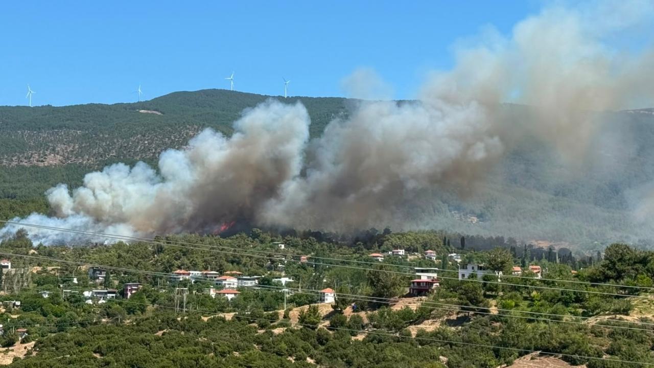 Aydın'da ormanlık alanda yangın çıktı
