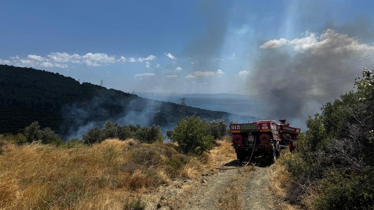 Balıkesir'in Erdek ilçesinde makilik ve zeytinlik alanda yangın çıktı