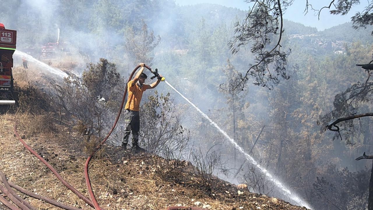 Antalya'nın Alanya ilçesinde ormanlık alanda çıkan yangın söndürüldü