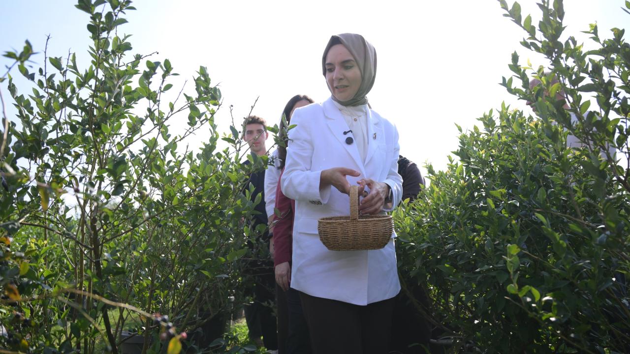 Bakan Göktaş, Düzce'de devlet korumasındaki çocuklarla yaban mersini topladı