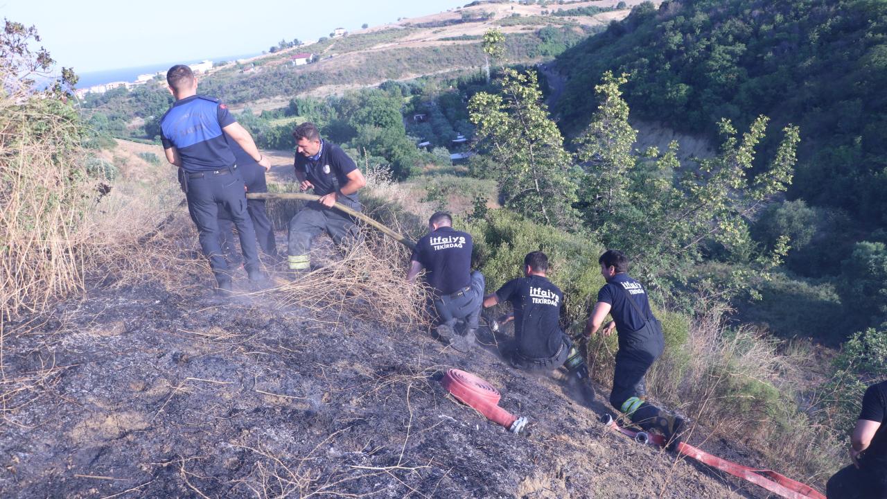 Tekirdağ'da ağaçlık alanda çıkan yangın söndürüldü