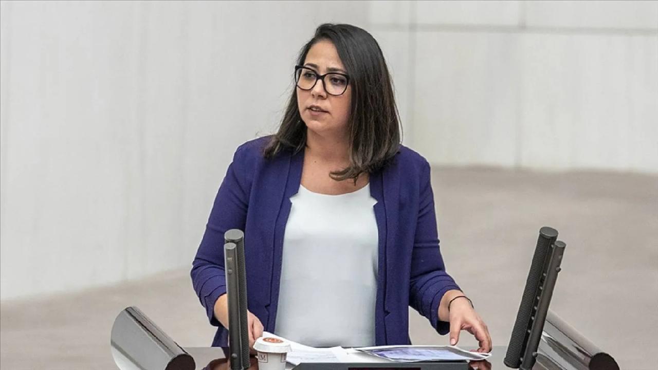 TİP İstanbul Milletvekili Kadıgil hakkında "Cumhurbaşkanına hakaret" ve "tehdit" suçlarından soruşturma