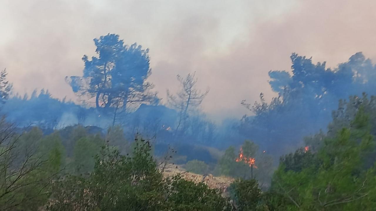 Çanakkale'nin Ezine ilçesinde ormanlık alanda çıkan yangına müdahale ediliyor
