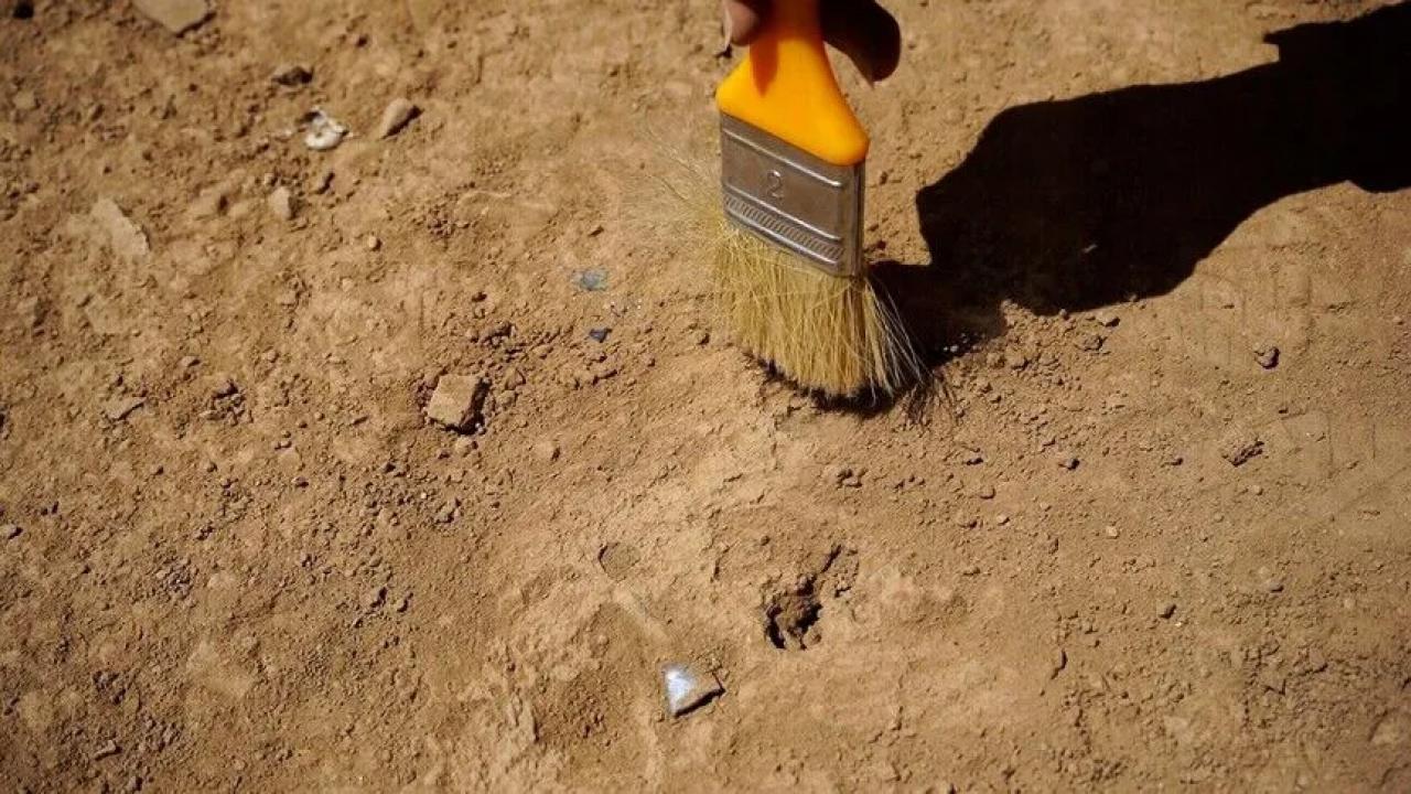İsveç'te hamile bir kadına ait 9 bin yıllık kalıntılar bulundu