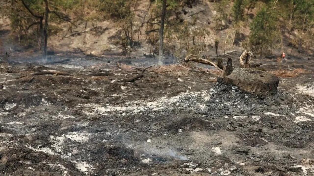 Fransa'nın Landes vilayetindeki orman yangınında 1580 hektarlık alan küle döndü
