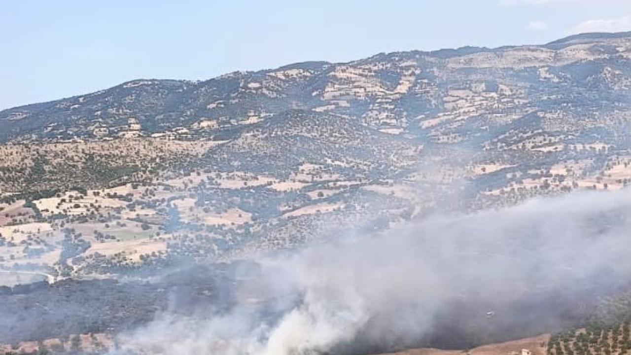 Balıkesir'in Sındırgı ilçesindeki orman yangınına müdahale ediliyor