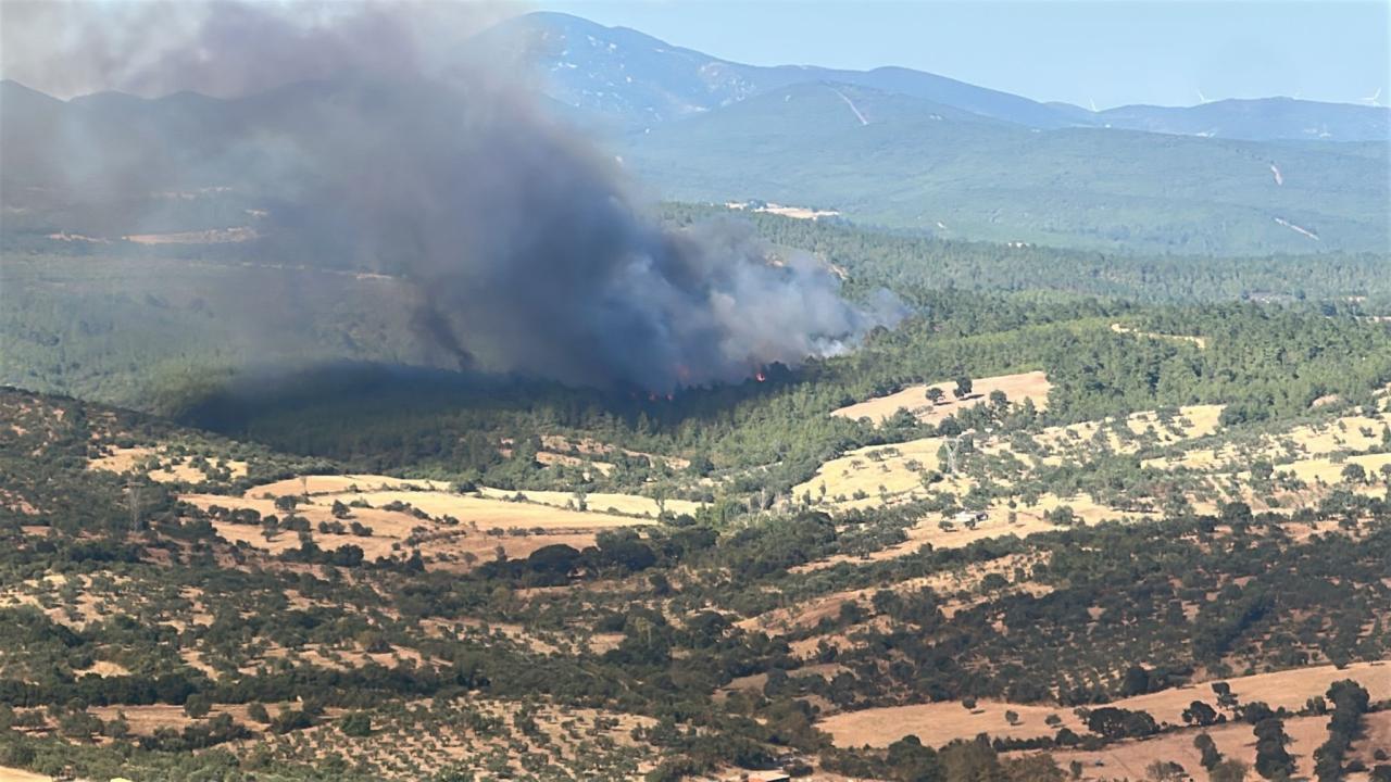 Çanakkale'de çıkan orman yangınına müdahale ediliyor