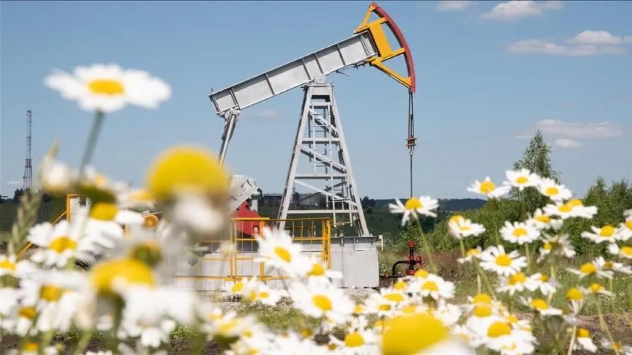 ABD'nin ticari ham petrol stokları 4,5 milyon varil azaldı
