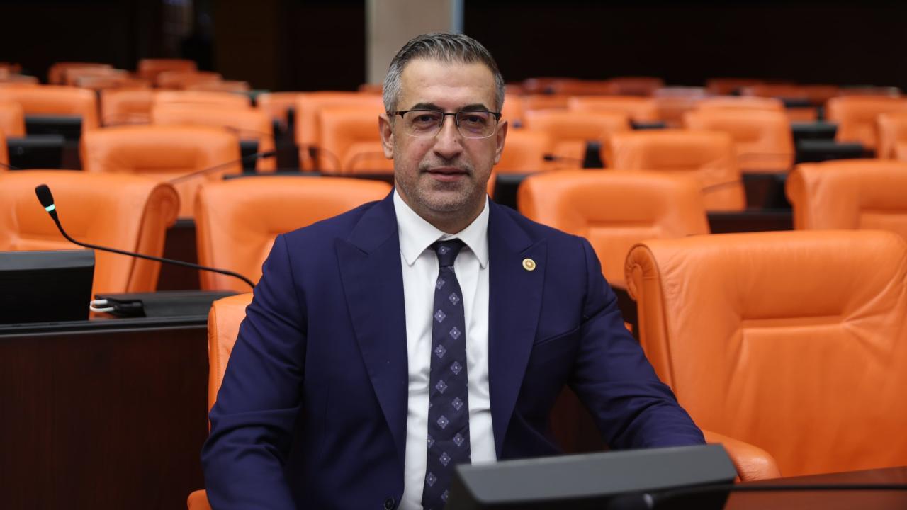 MHP'li Işıkver'den Baskil feribot iskelesi için TBMM'ye soru önergesi